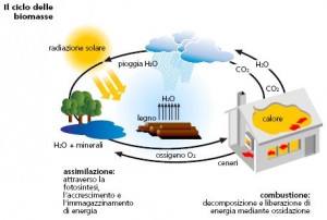 ciclo-delle-biomasse