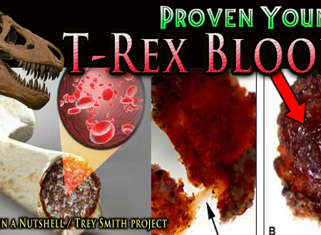 T-Rex – estratto DNA utilizzabile?